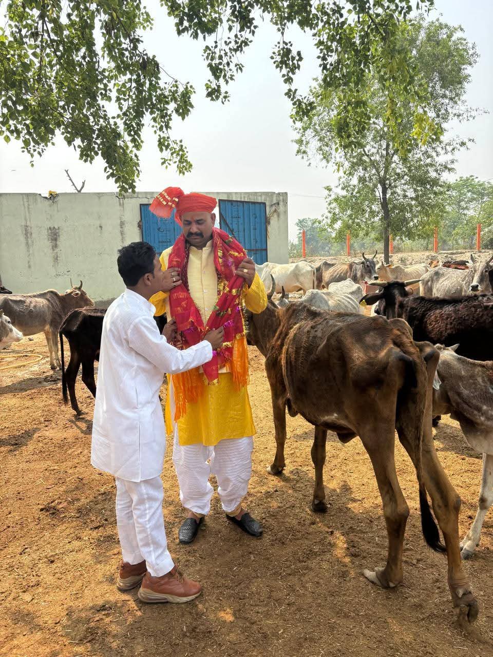 गो आश्रय केन्द्र में मनाया गया जन्म दिन 