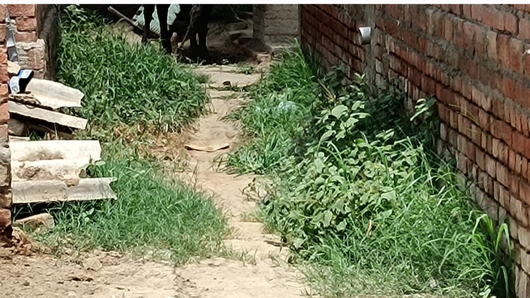स्वच्छ भारत मिशन की धज्जियां उड़ा रहा है सफाई कर्मी प्रधान की लापरवाही का खामियाजा भुगतना पर रहा है आम जनमानस को 