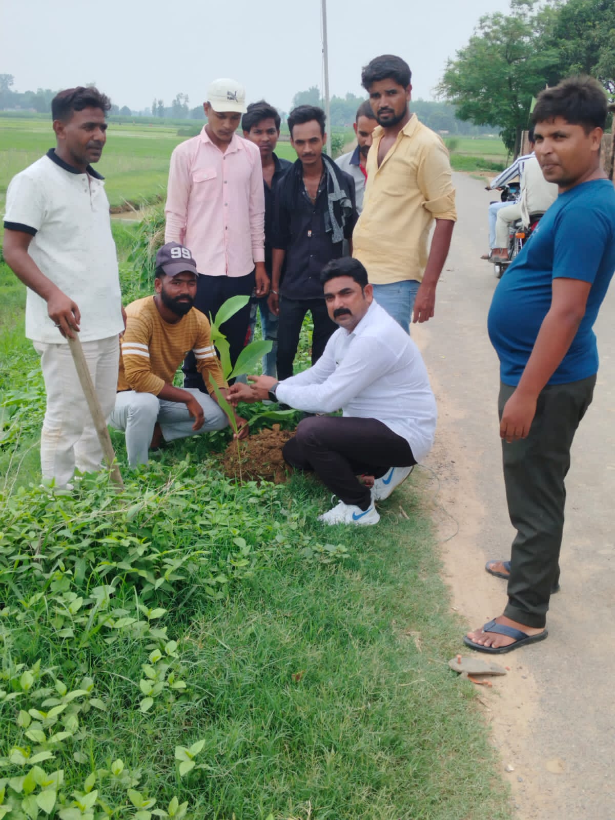 बढ़ौली पुर में पर्यावरण संरक्षण की पहल ग्राम प्रधान ने सार्वजनिक स्थलों पर किया वृक्षारोपण लोगों से की पौधे लगाने की अपील।