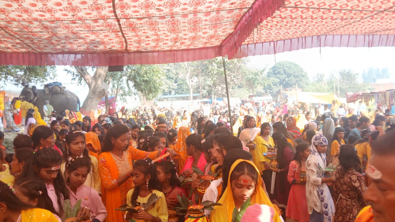 सुरसरि देउरि में रुद्र महायज्ञ का भव्य शुभारंभ, 551 कन्याओं की कलश यात्रा में उमड़ा आस्था का सैलाब