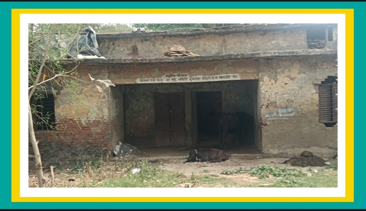 साधन सहकारी समिति उपेक्षा का शिकार