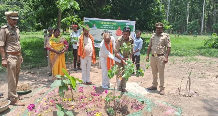 विश्व पर्यावरण दिवस पर विशेष कुसम्ही जंगल के विनोद वन में त्रिवेणी पौधा का रोपण भाजपा नेताओं ने किया। 