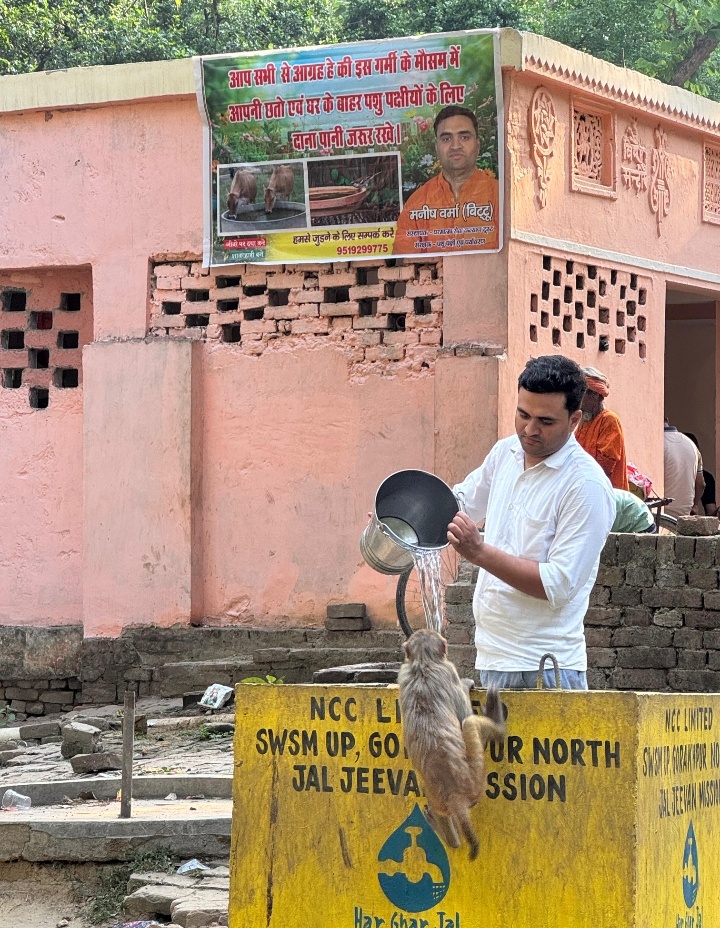 15 सालों से मनीष कर रहे हैं पशु पक्षियों की सेवा