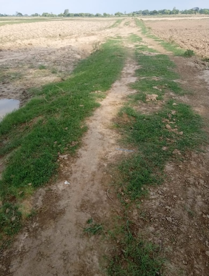 प्यासी के ग्राम प्रधान पर बिना काम कराए मनरेगा का पैसा निकालने का लगा आरोप
