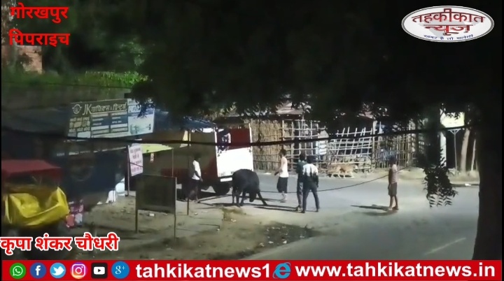 पशु तस्करी और लापरवाही पर गाज: पुलिस की बड़ी कार्रवाई