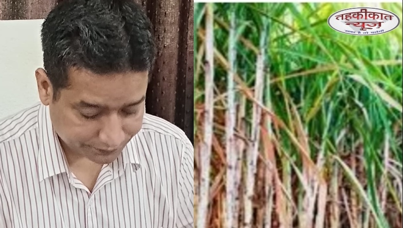 11 दिसम्बर तक का सम्पूर्ण गन्ना मूल्य भुगतान, 1016 लाख रुपये किसानों के खातों में भेजे गए