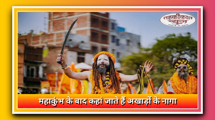 महाकुंभ के बाद कहां जाते हैं अखाड़ों के नागा साधु?