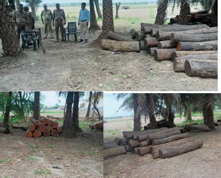 खोराबार के बाद अब झंगहा क्षेत्र में पकड़ी गई वन निगम की लकड़ी